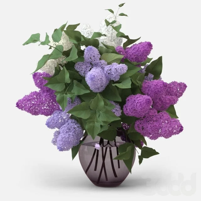 Lilac Bouquet